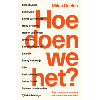 Hoe doen we het? (Paperback) bij Singel 344
