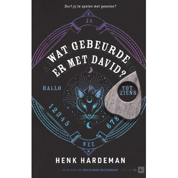 Wat gebeurde er met David? (Hardback) bij Singel 344