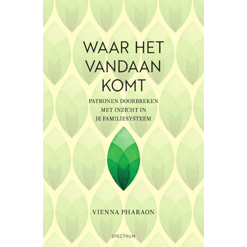 Waar het vandaan komt (Paperback) bij Singel 344