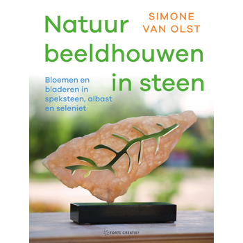 Natuur beeldhouwen in steen (Hardback) bij Singel 344