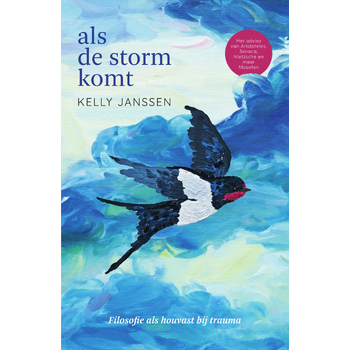 Als de storm komt (Paperback) bij Singel 344