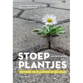 Stoepplantjes (Paperback) bij Singel 344