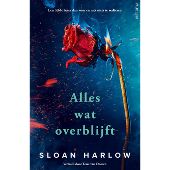 Alles wat overblijft (Paperback) bij Singel 344
