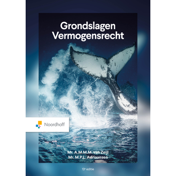 Grondslagen Vermogensrecht (Paperback) bij Singel 344