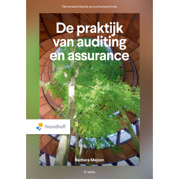 De praktijk van auditing en assurance (Paperback) bij Singel 344