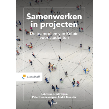 Samenwerken in projecten. (Paperback) bij Singel 344