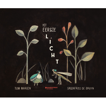 Het eerste licht (Hardback) bij Singel 344