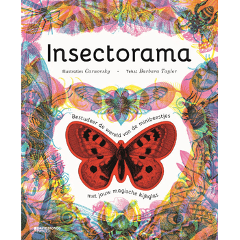 Insectorama (Hardback) van Barbara Taylor
