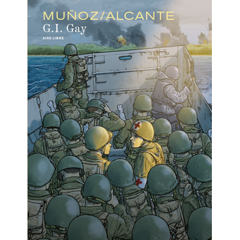 GI Gay (Hardback) van Didier Alcante