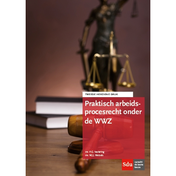 Praktisch arbeidsprocesrecht onder de WWZ (Paperback) van P.G. Vestering, W.J.J. Wetzels