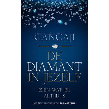 De diamant in jezelf (Paperback) bij Singel 344