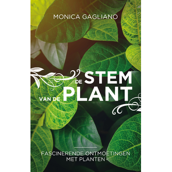 De stem van de plant (Paperback) bij Singel 344