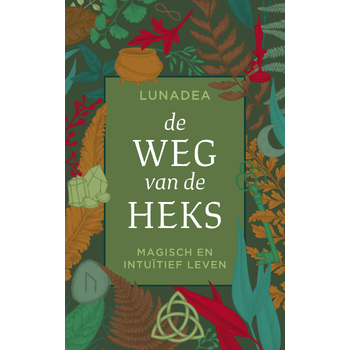 De weg van de heks (Paperback) bij Singel 344