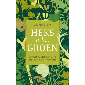 Heks in het groen (Paperback) bij Singel 344