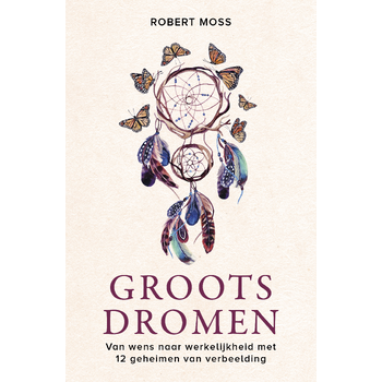 Groots dromen (Paperback) bij Singel 344