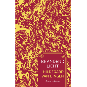 Brandend licht (Hardback) bij Singel 344