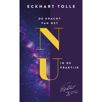 De kracht van het nu in de praktijk (Paperback) bij Singel 344