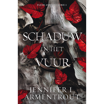 Schaduw in het vuur (Paperback) bij Singel 344