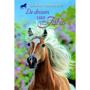 De droom van Fabio (Hardback) bij Singel 344