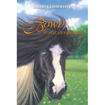 Bowi (Hardback) bij Singel 344