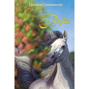 Het vuur van Bajka (Hardback) bij Singel 344