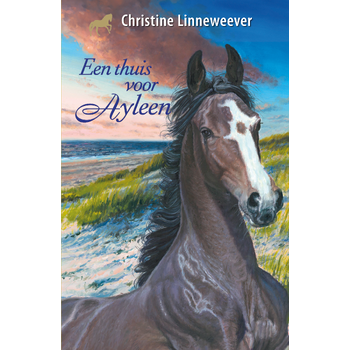 Een thuis voor Ayleen (Hardback) bij Singel 344