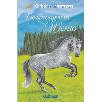 De sprong van Wento (Hardback) bij Singel 344
