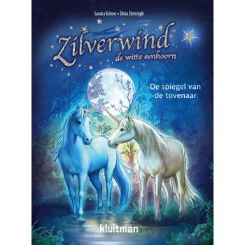 De spiegel van de tovenaar (Hardback) bij Singel 344