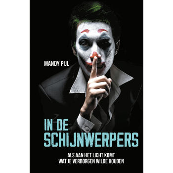 In de schijnwerpers (Hardback) bij Singel 344