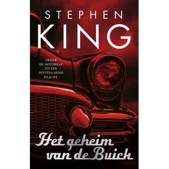 Het geheim van de Buick (Paperback) bij Singel 344