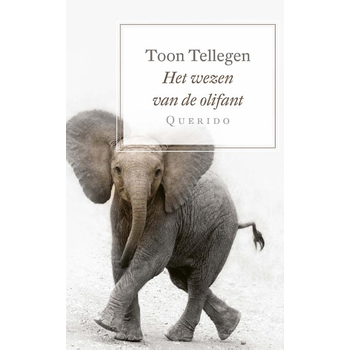 Het wezen van de olifant (Paperback) bij Singel 344