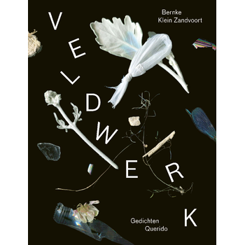 Veldwerk (Paperback) bij Singel 344