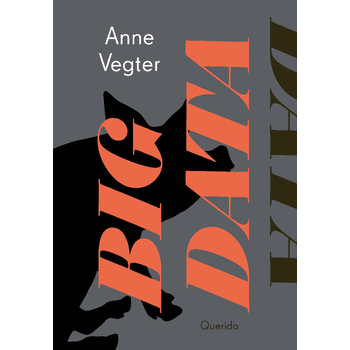 Big data (Paperback) bij Singel 344