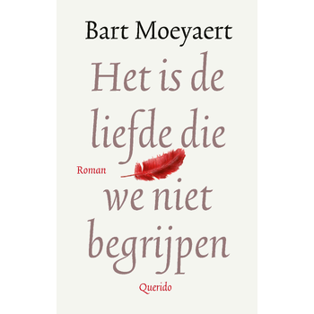 Het is de liefde die we niet begrijpen (Hardback) bij Singel 344
