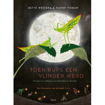 Toen Rups een vlinder werd (Hardback) bij Singel 344