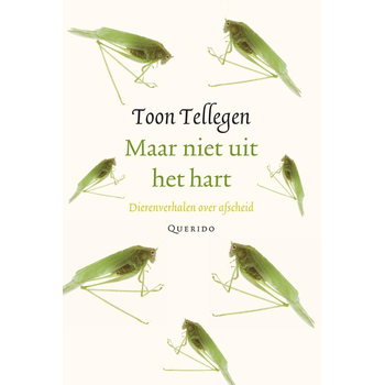 Maar niet uit het hart (Hardback) bij Singel 344