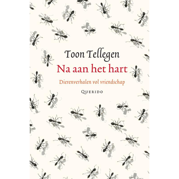 Na aan het hart (Hardback) bij Singel 344