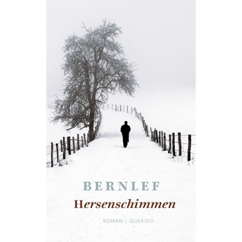 Hersenschimmen (Paperback) bij Singel 344
