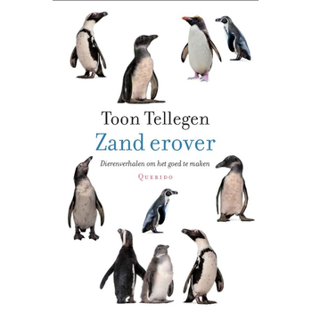 Zand erover (Hardback) bij Singel 344