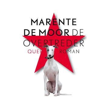 De overtreder (Paperback) bij Singel 344