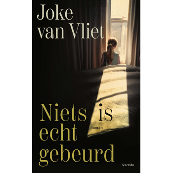 Niets is echt gebeurd (Paperback) bij Singel 344