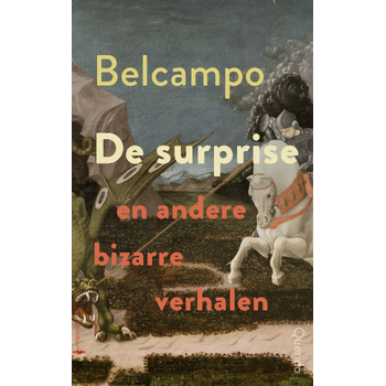 De surprise en andere bizarre verhalen (Paperback) bij Singel 344