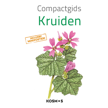 Compactgids Kruiden (Paperback) bij Singel 344