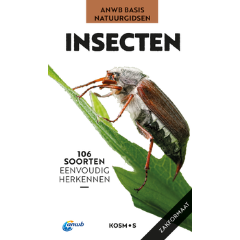 Insecten (Paperback) bij Singel 344