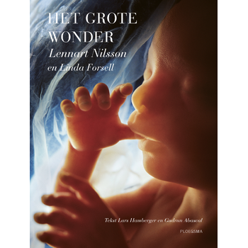 Het grote wonder (Hardback) bij Singel 344