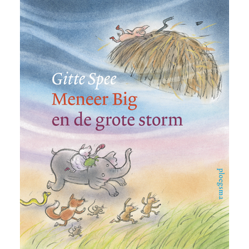Meneer Big en de grote storm (Hardback) bij Singel 344