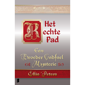 Het rechte pad (Paperback) bij Singel 344