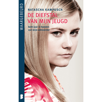 De diefstal van mijn jeugd (Paperback) bij Singel 344