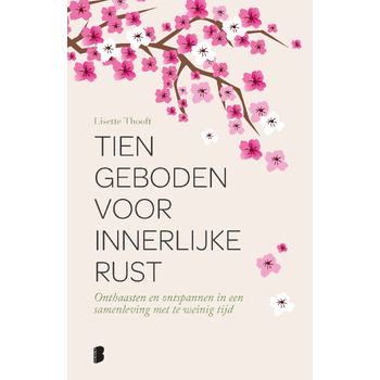 Tien geboden voor innerlijke rust (Hardback) bij Singel 344