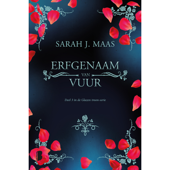 Erfgenaam van vuur (Paperback) bij Singel 344